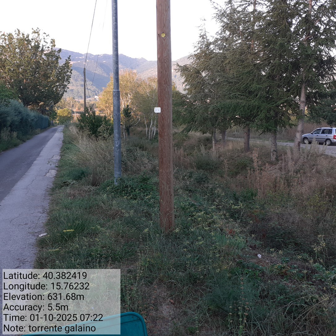 Galleria Fotografica Immagine