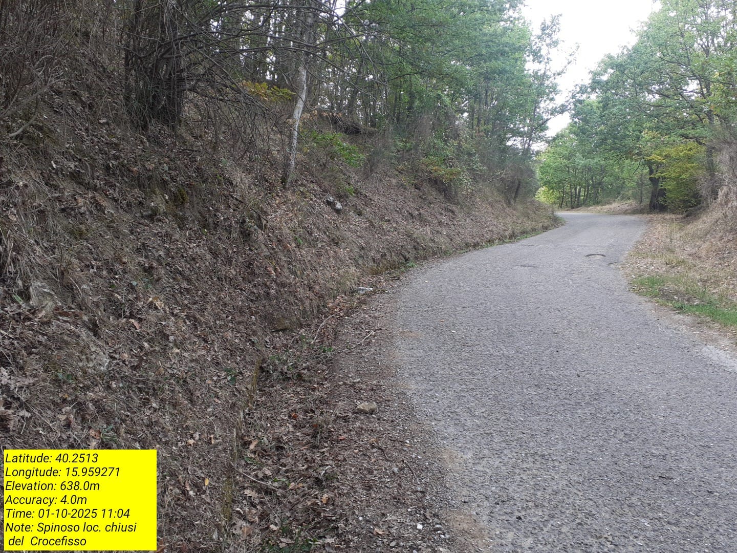 Galleria Fotografica Immagine