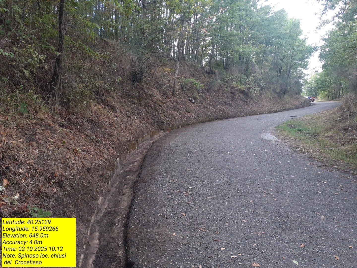 Galleria Fotografica Immagine