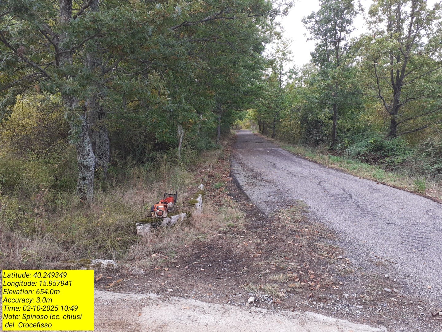 Galleria Fotografica Immagine