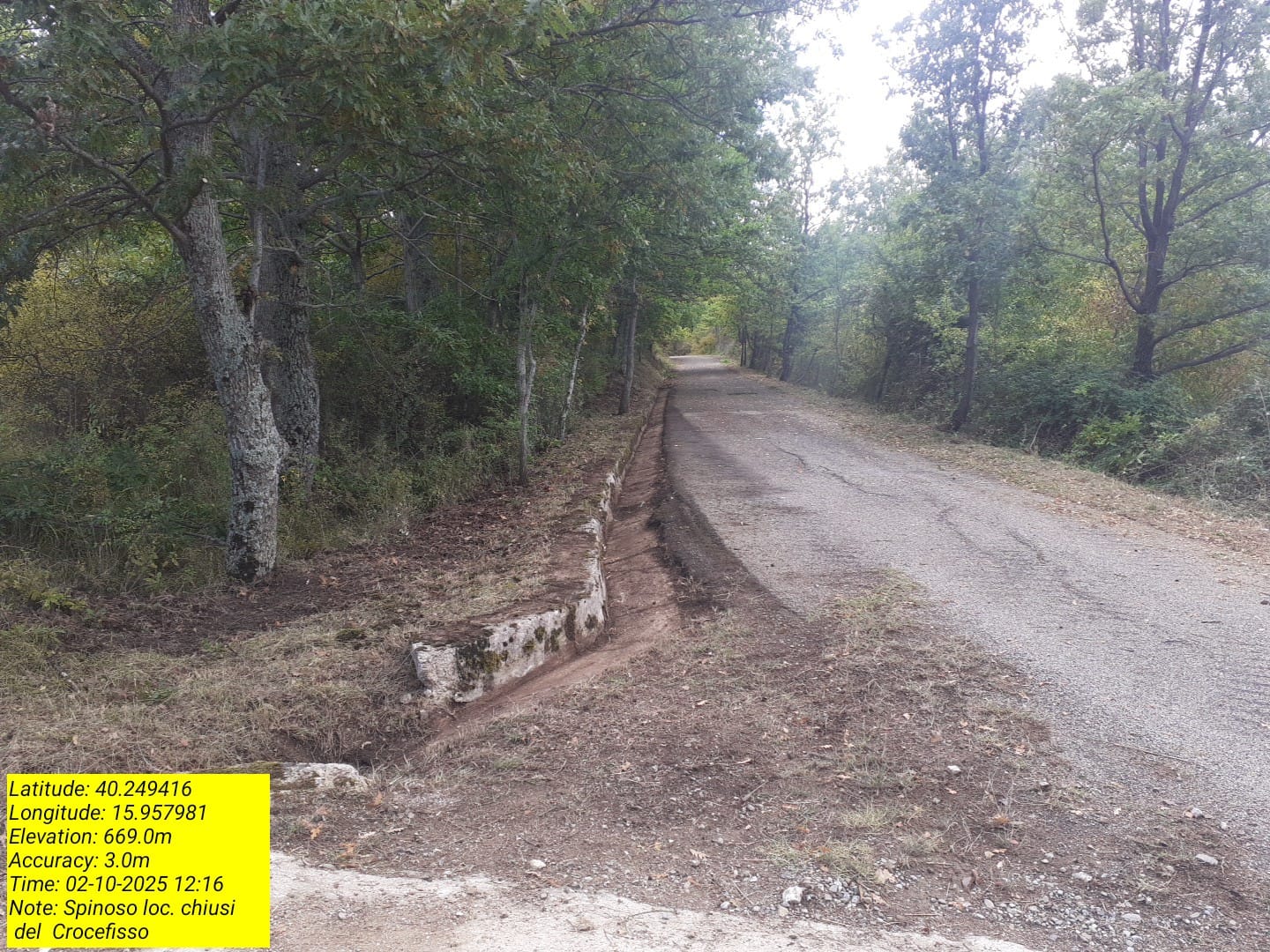 Galleria Fotografica Immagine