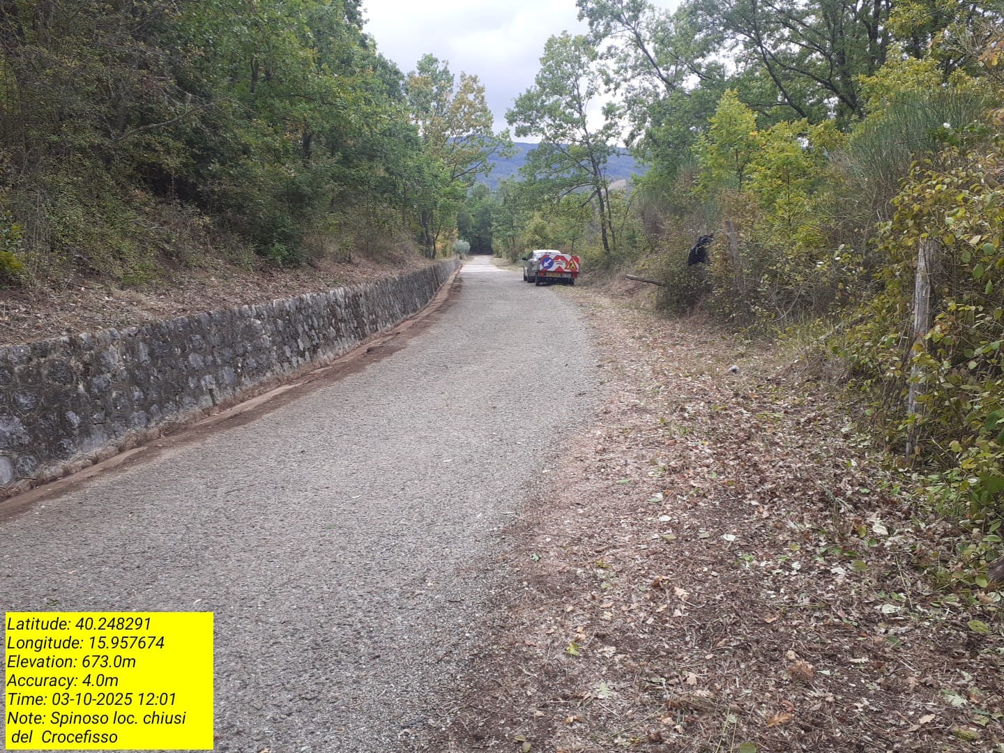 Galleria Fotografica Immagine