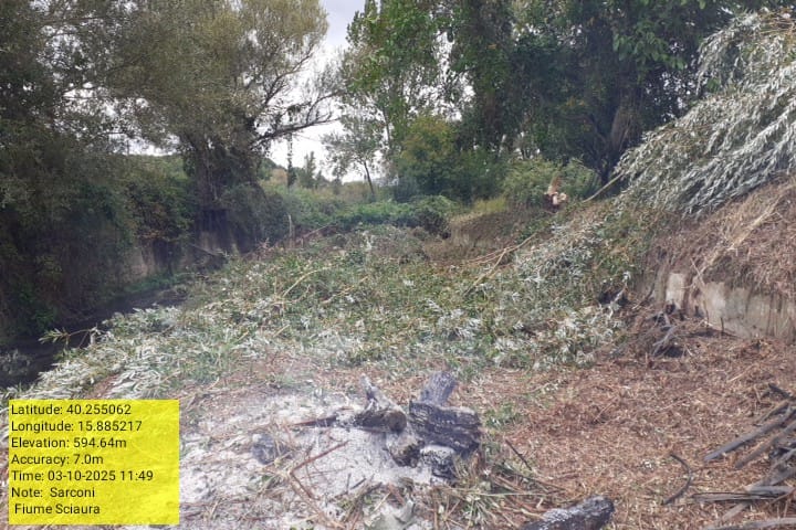 Galleria Fotografica Immagine