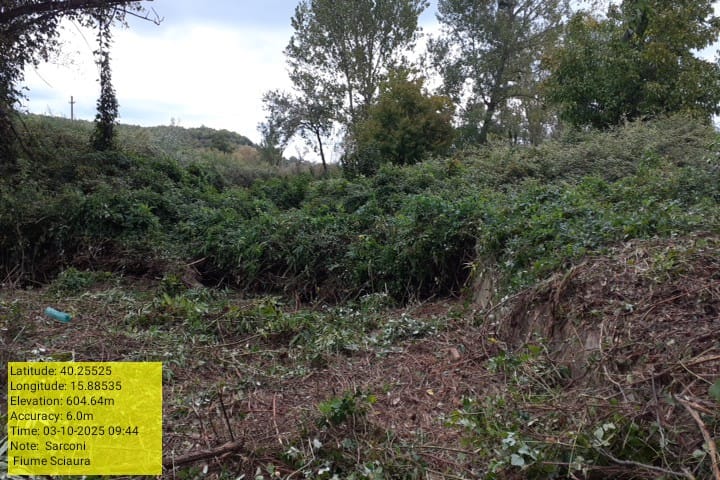 Galleria Fotografica Immagine