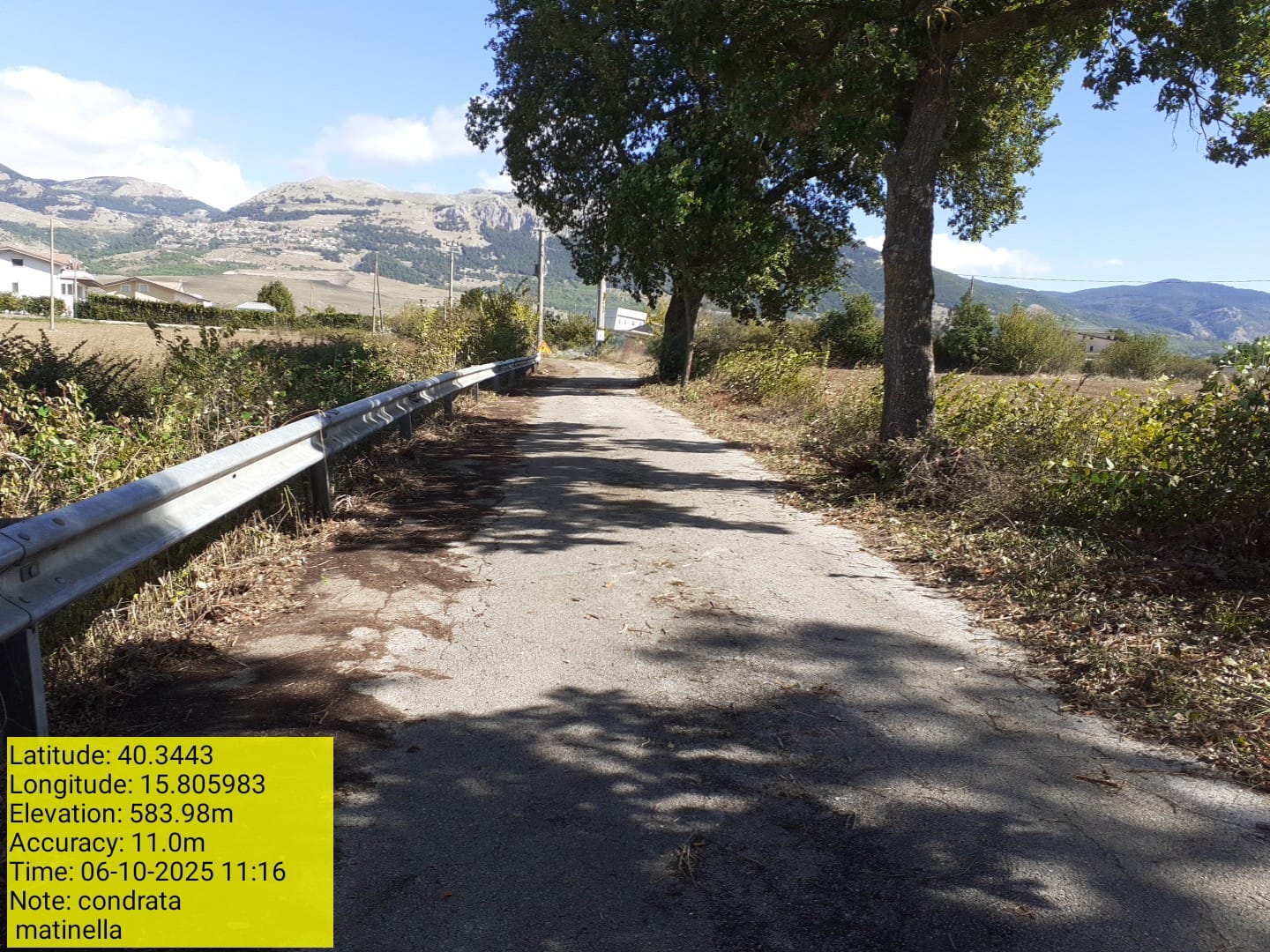 Galleria Fotografica Immagine