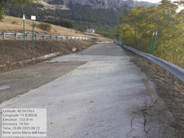 Galleria Fotografica Immagine