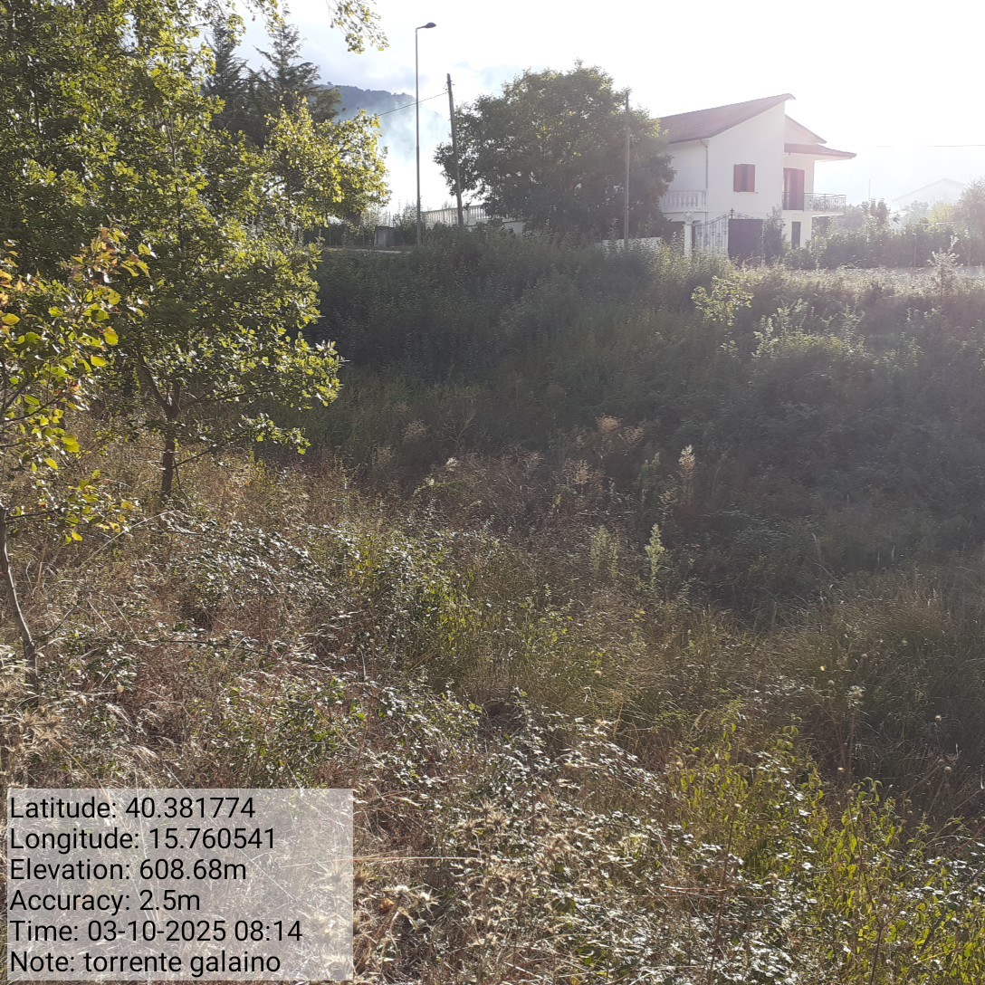 Galleria Fotografica Immagine