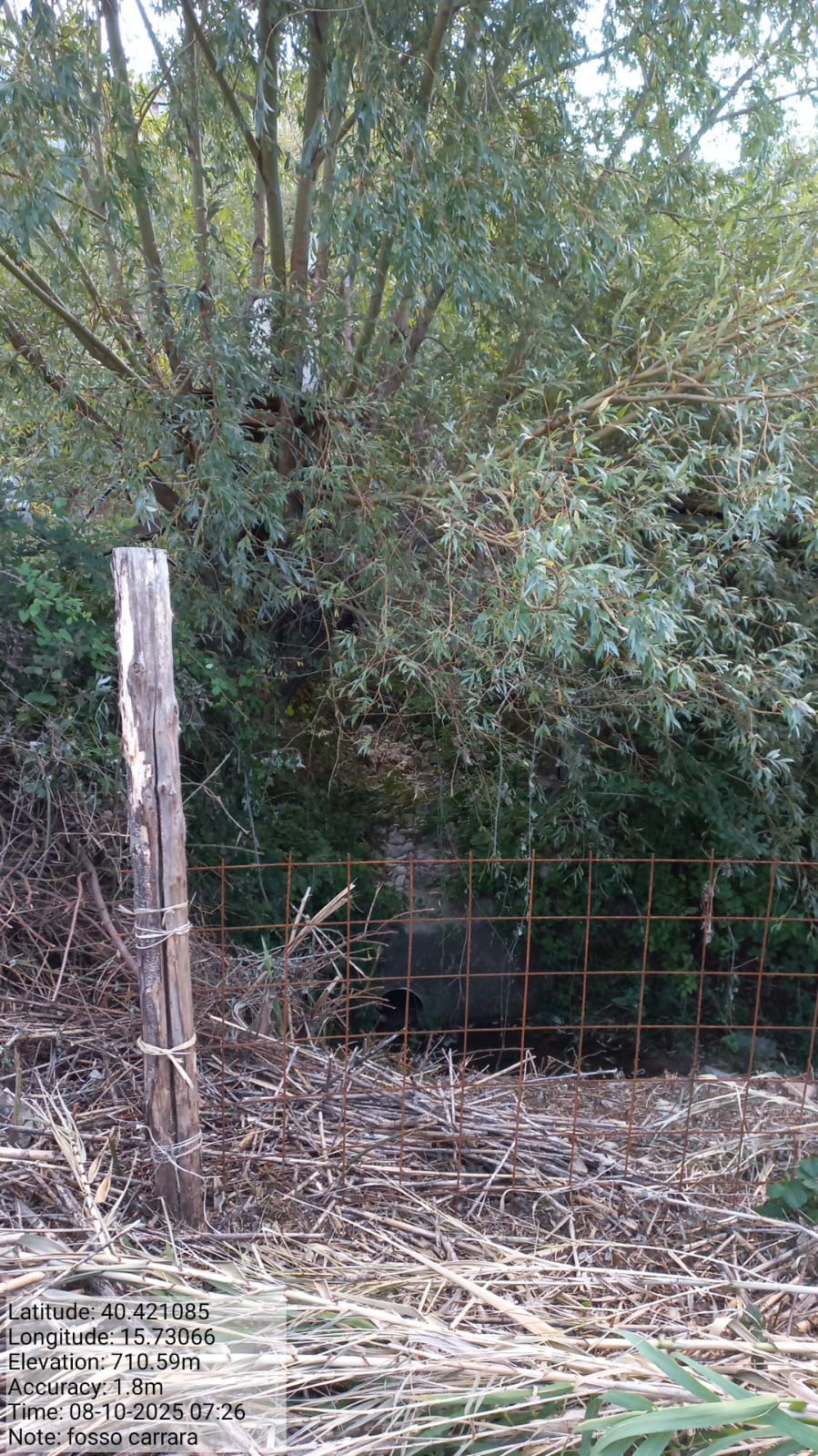 Galleria Fotografica Immagine