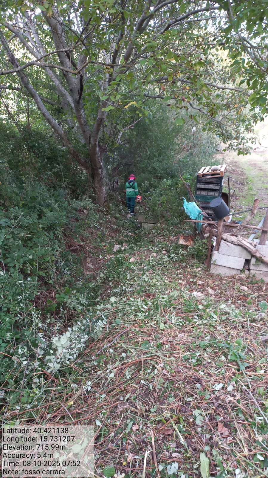 Galleria Fotografica Immagine