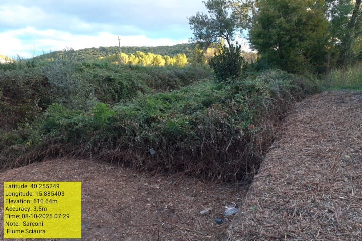 Galleria Fotografica Immagine