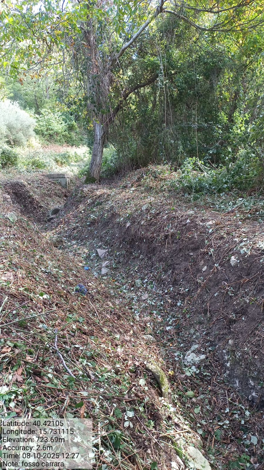 Galleria Fotografica Immagine