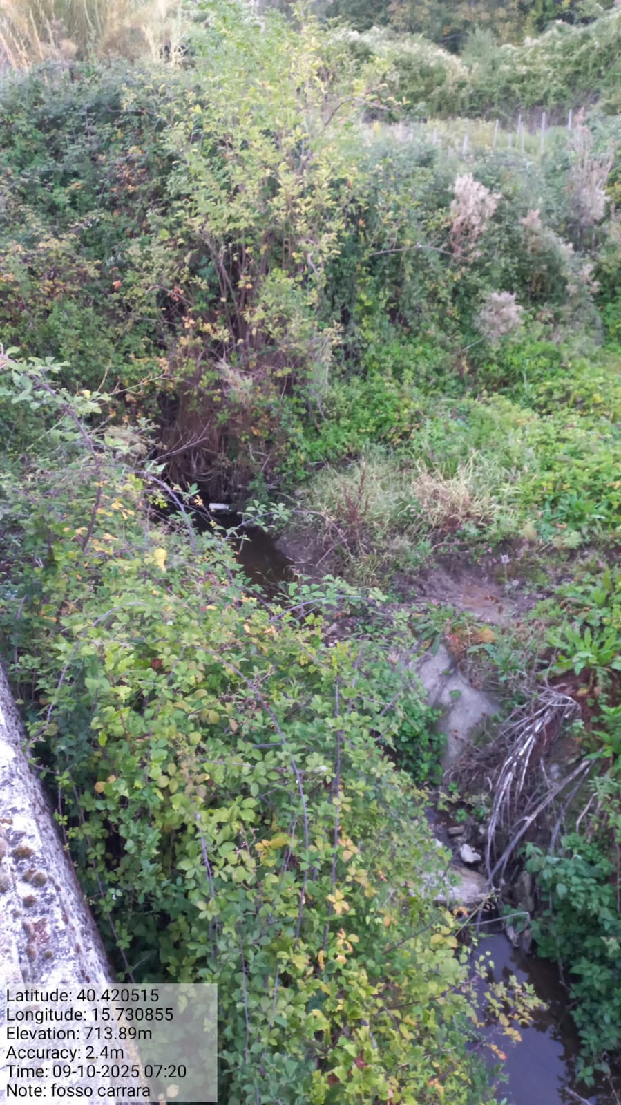 Galleria Fotografica Immagine