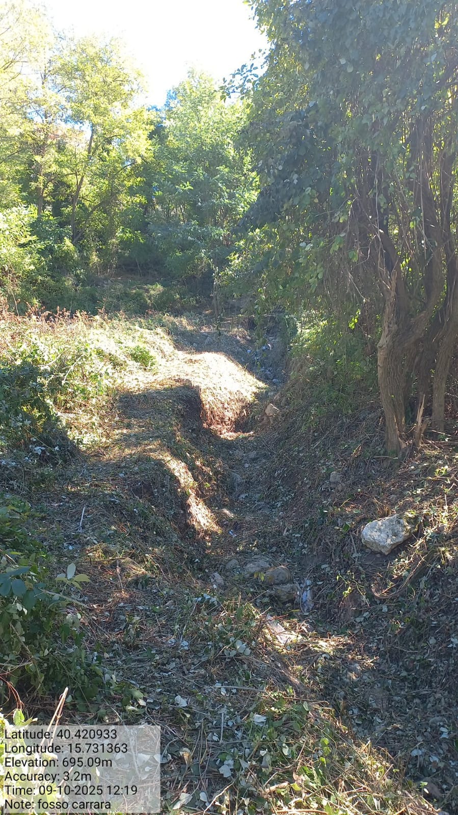 Galleria Fotografica Immagine