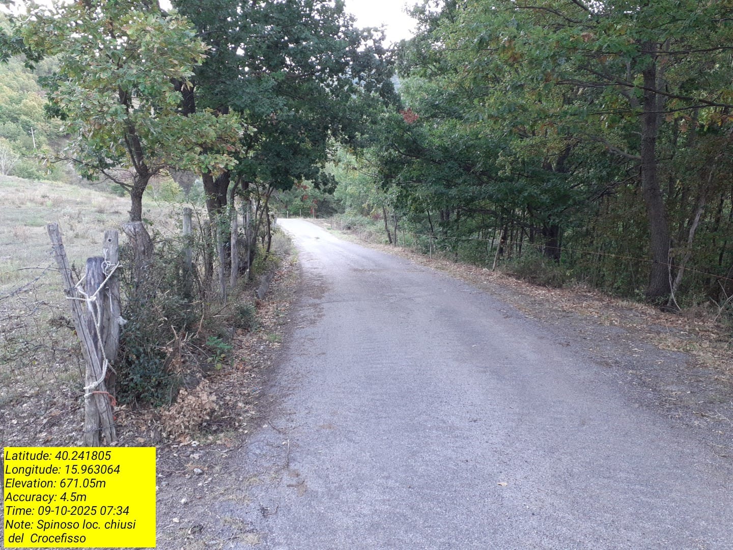 Galleria Fotografica Immagine