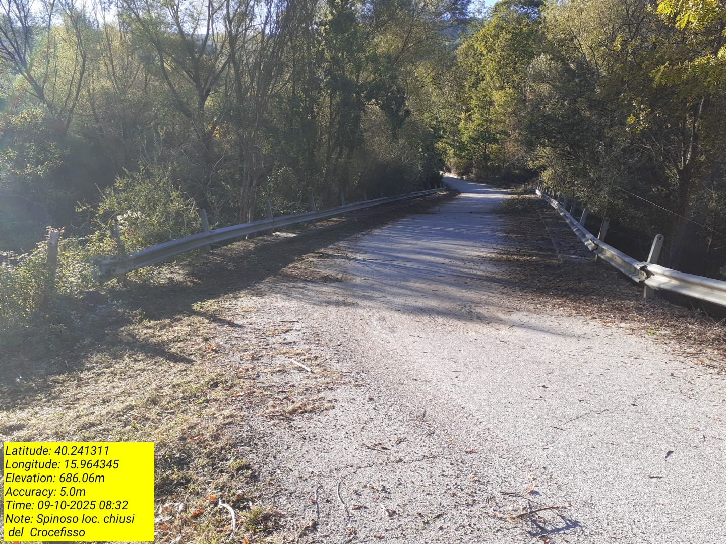 Galleria Fotografica Immagine