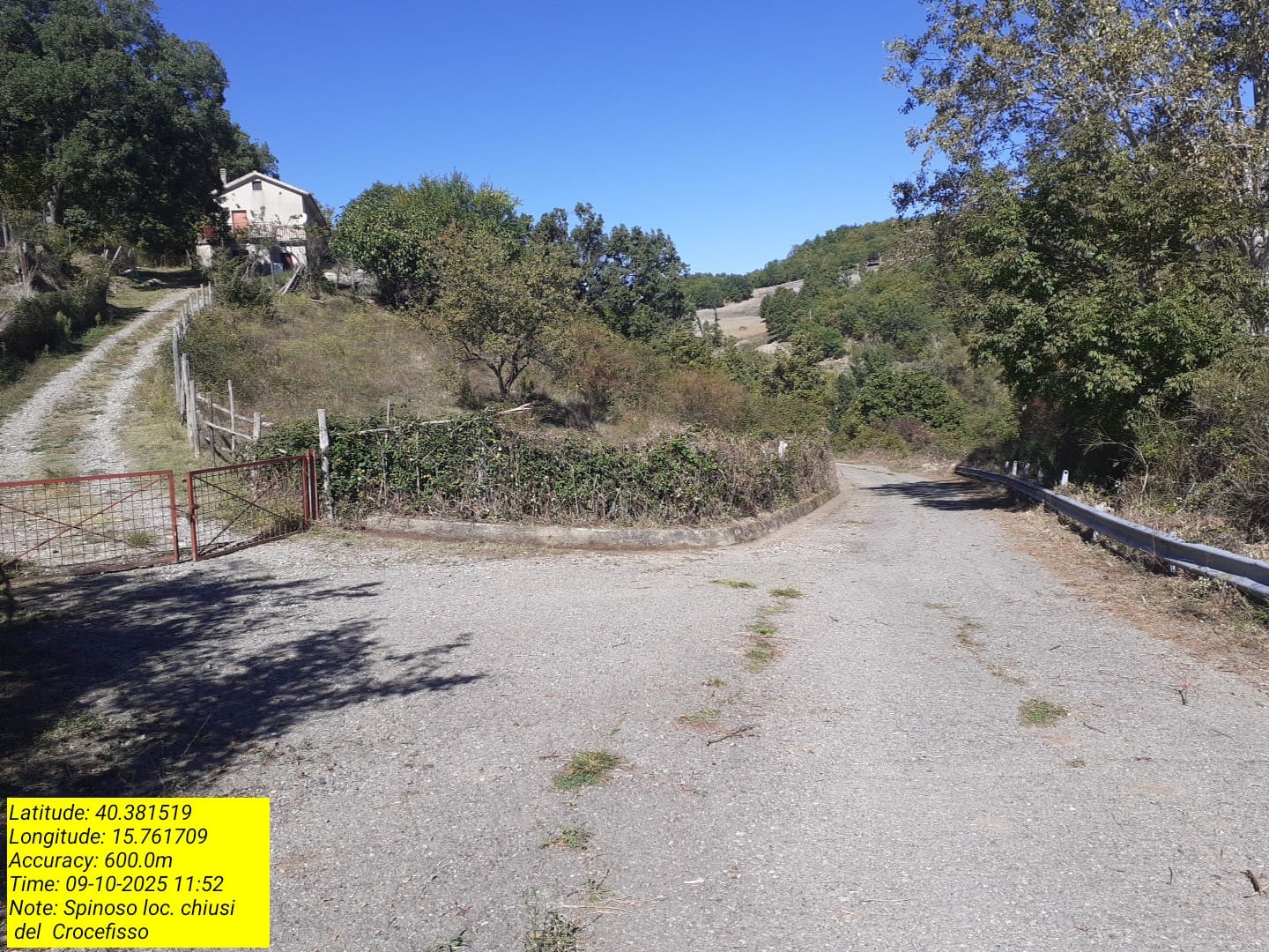 Galleria Fotografica Immagine