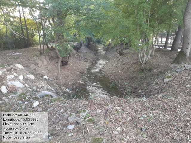 Galleria Fotografica Immagine