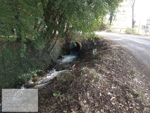 Galleria Fotografica Immagine