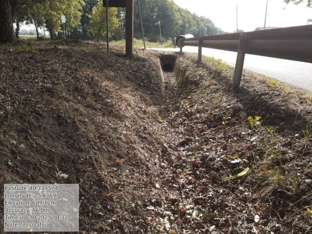 Galleria Fotografica Immagine