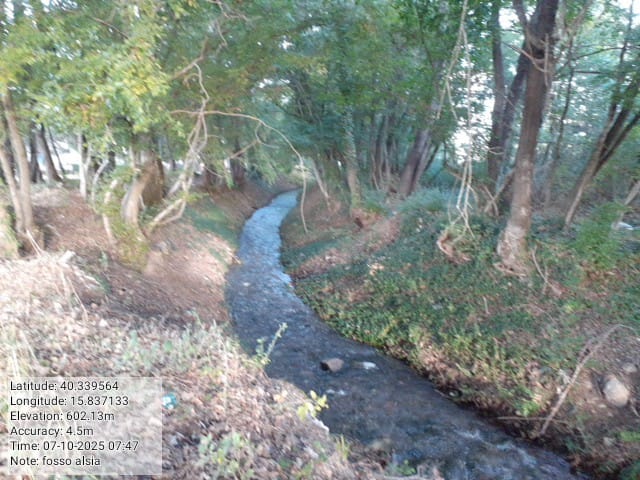 Galleria Fotografica Immagine