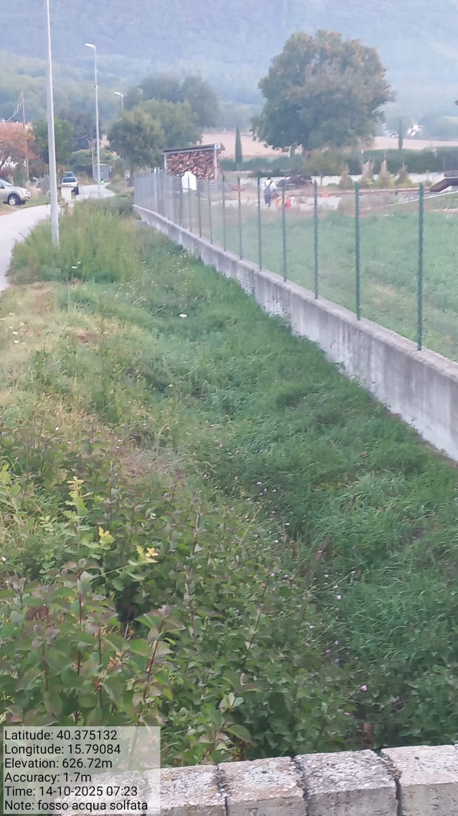 Galleria Fotografica Immagine