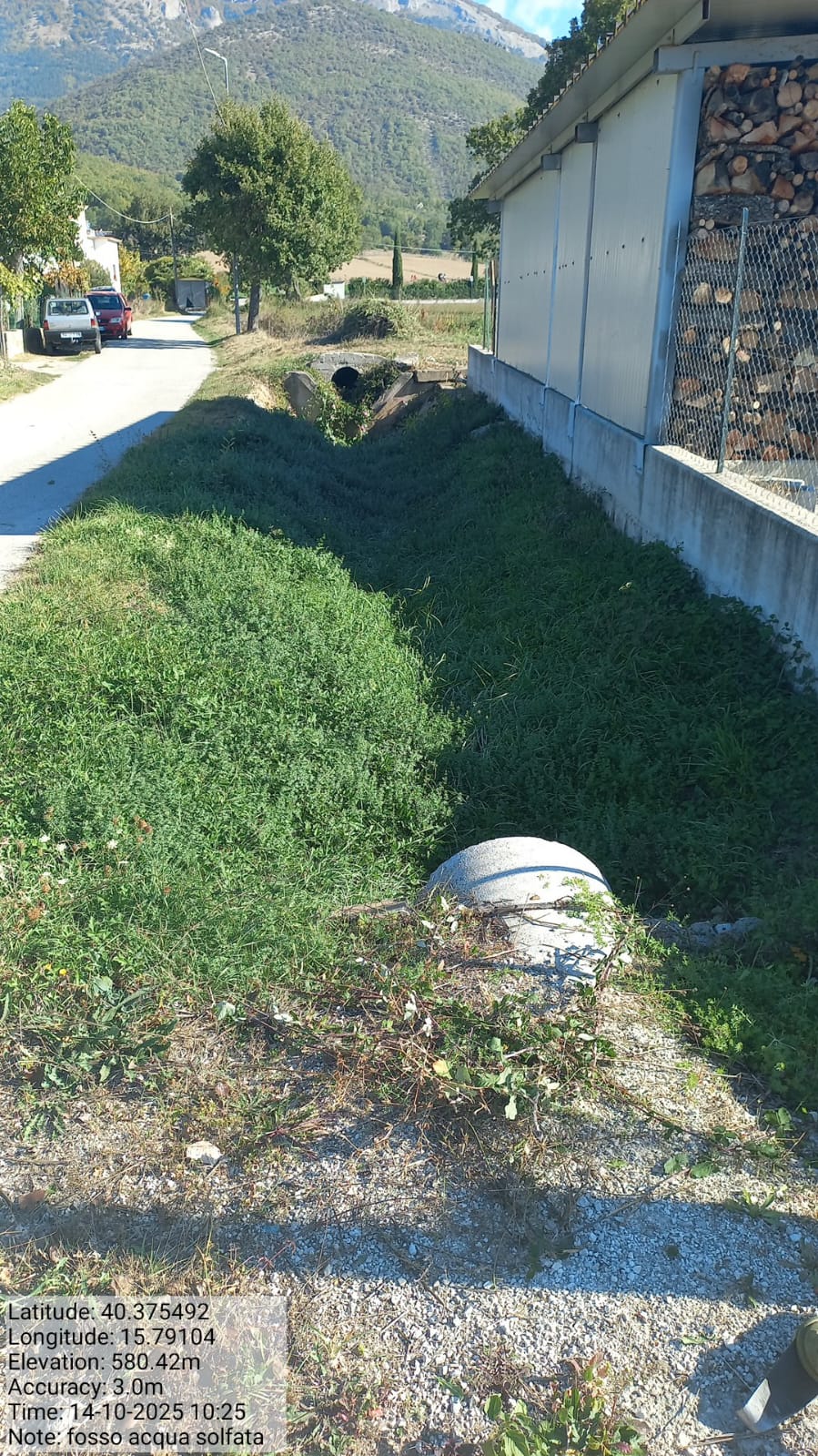 Galleria Fotografica Immagine