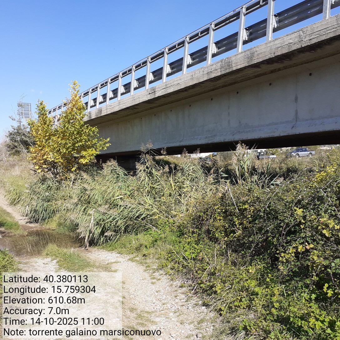 Galleria Fotografica Immagine