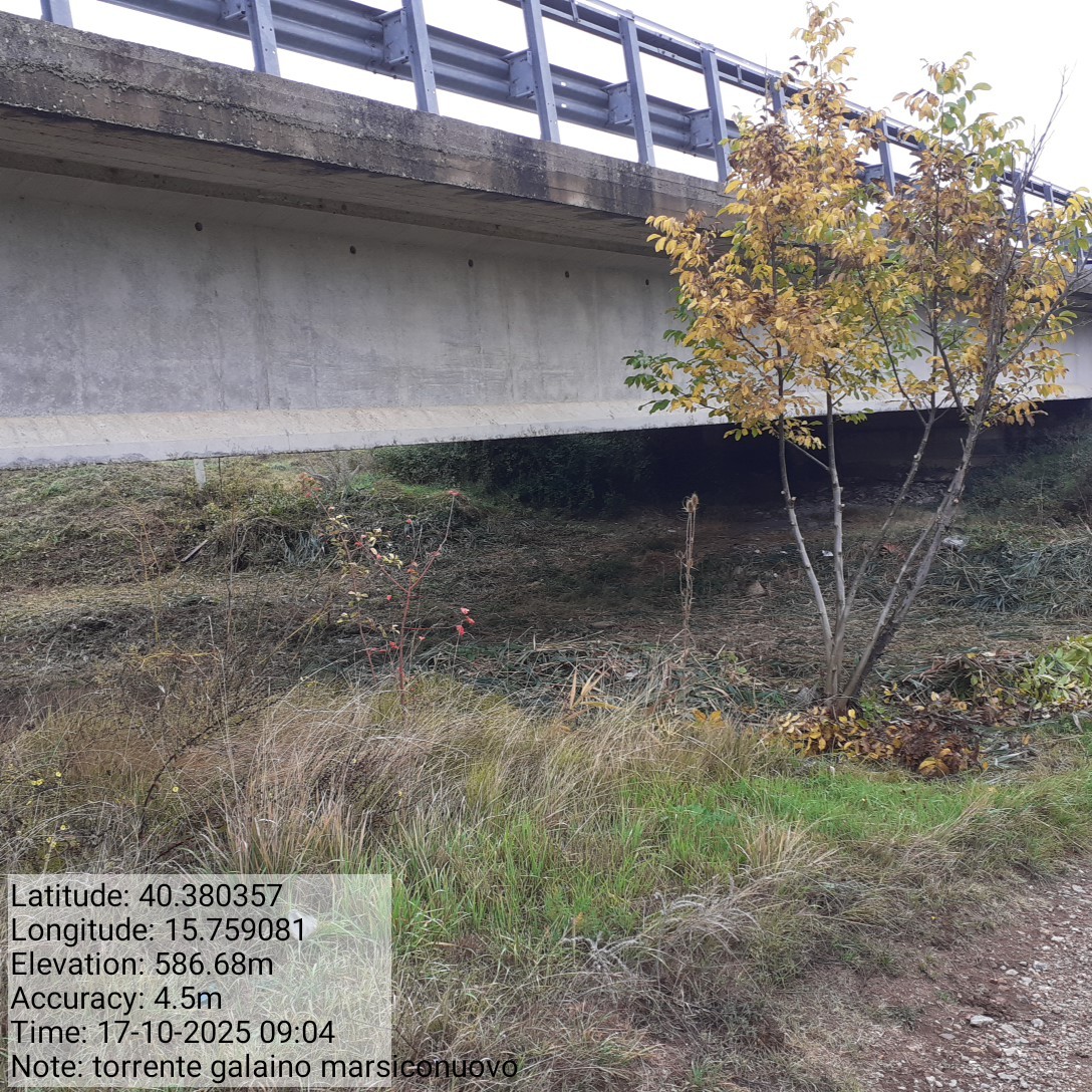 Galleria Fotografica Immagine