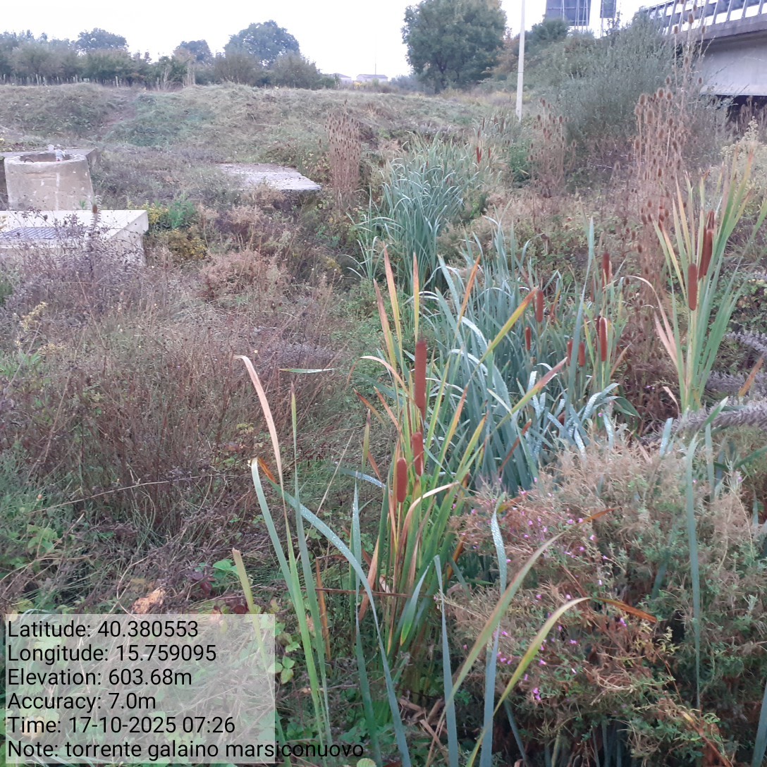 Galleria Fotografica Immagine