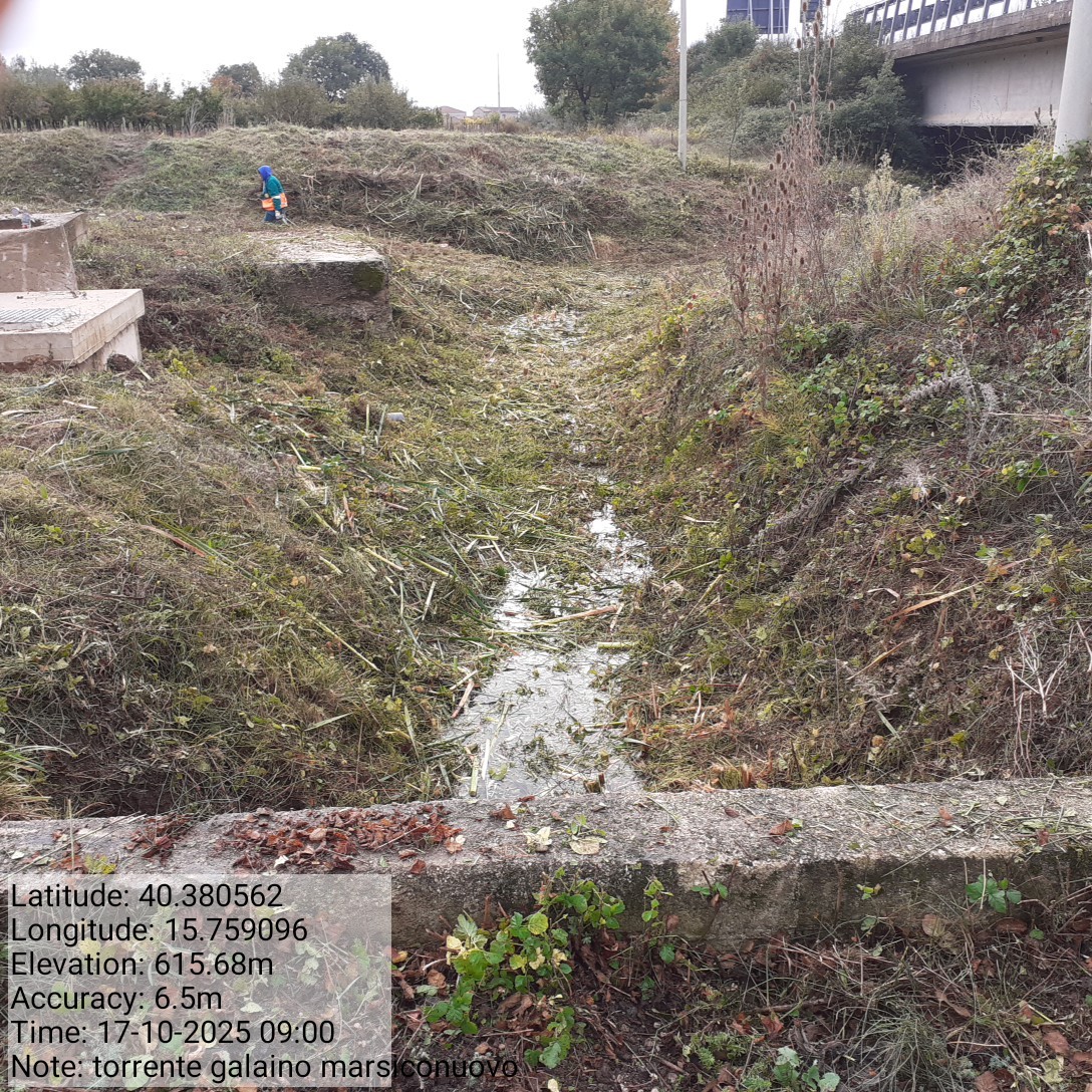 Galleria Fotografica Immagine