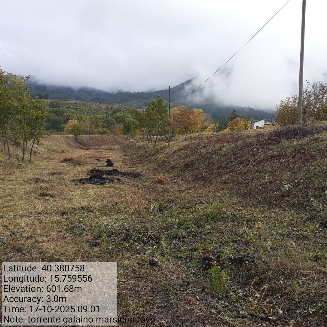 Galleria Fotografica Immagine