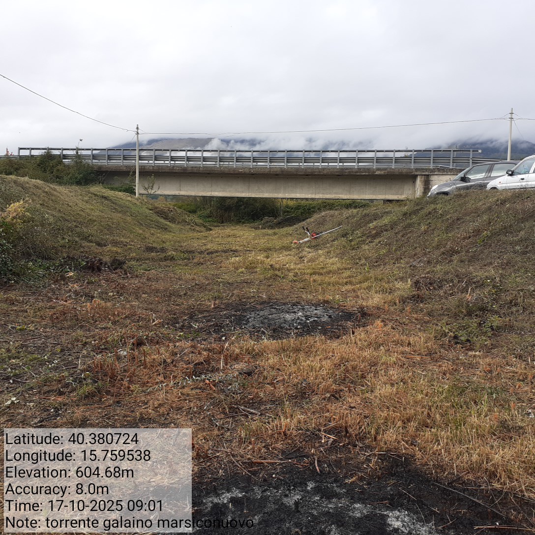 Galleria Fotografica Immagine