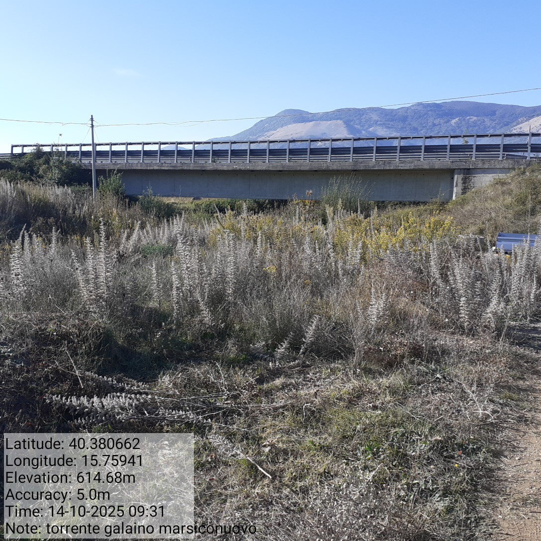 Galleria Fotografica Immagine