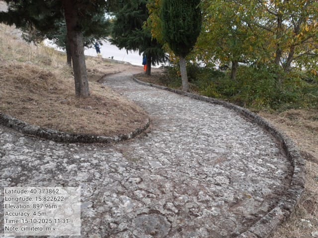 Galleria Fotografica Immagine