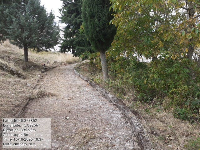 Galleria Fotografica Immagine