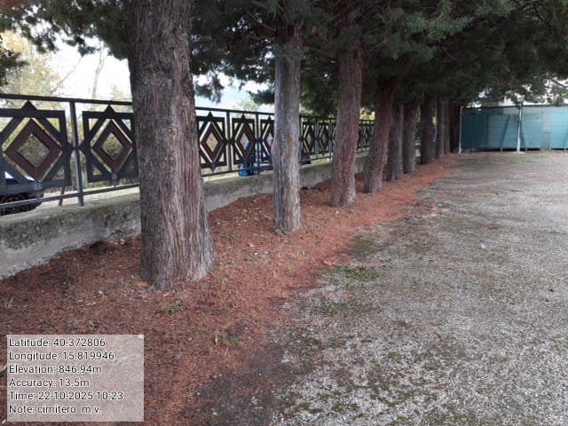 Galleria Fotografica Immagine