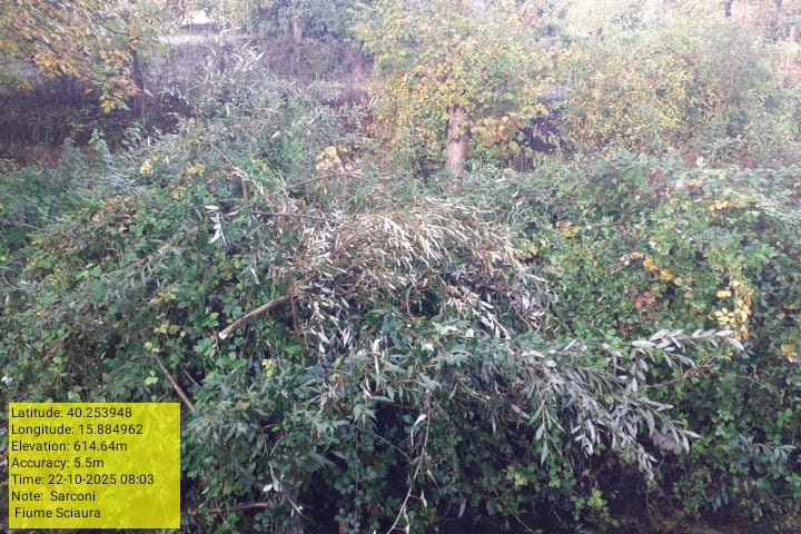 Galleria Fotografica Immagine