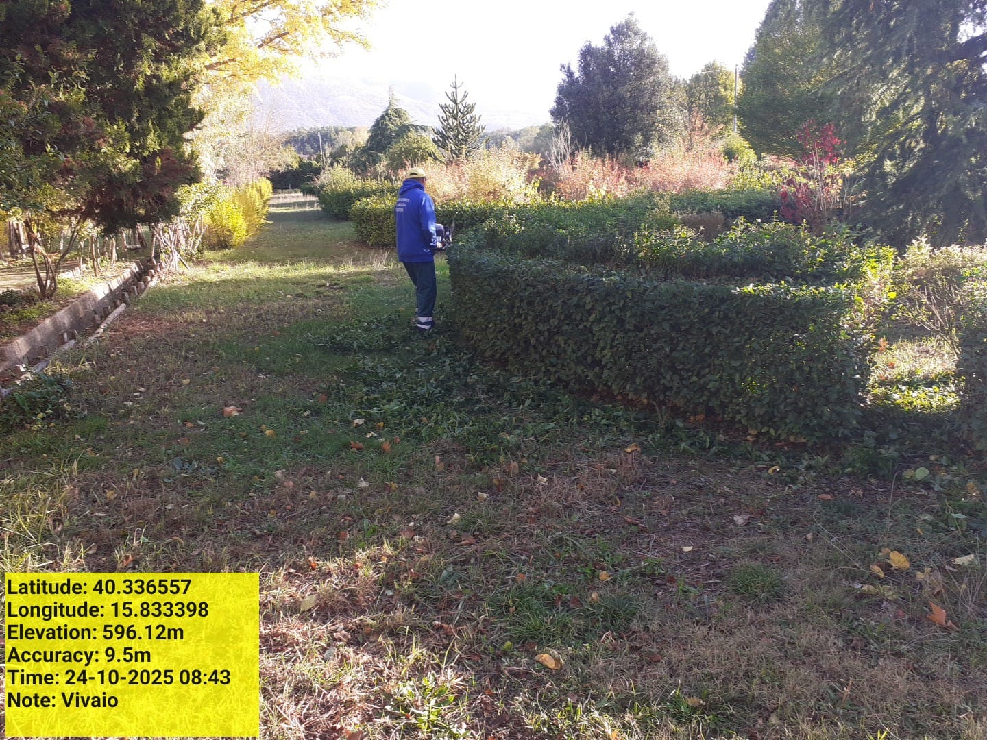 Galleria Fotografica Immagine