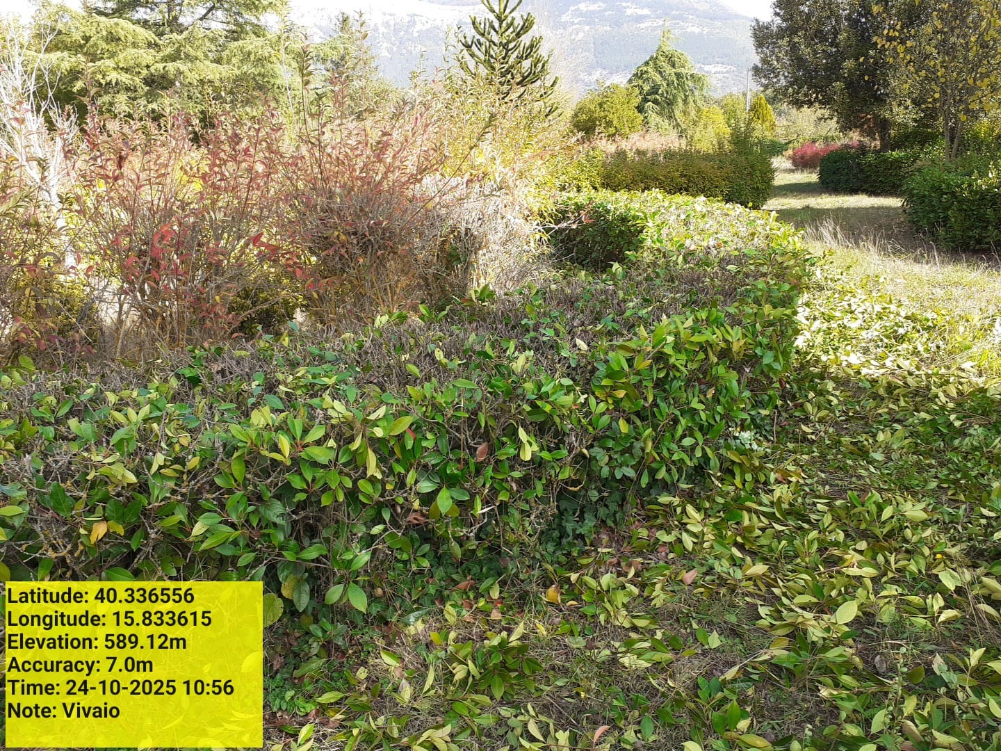 Galleria Fotografica Immagine