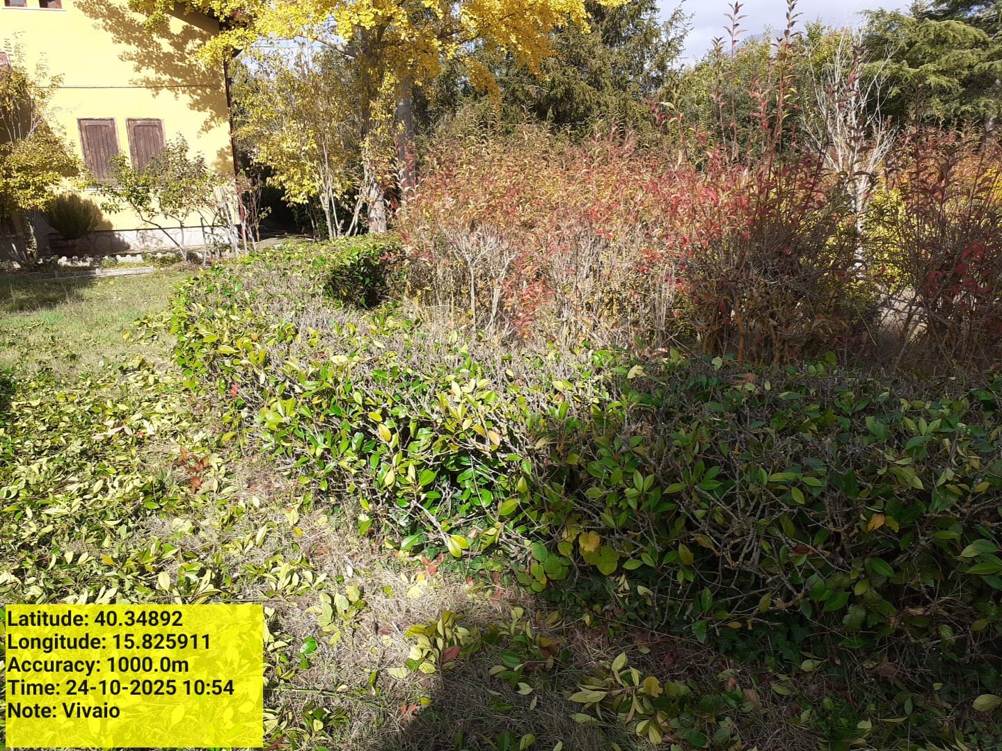 Galleria Fotografica Immagine