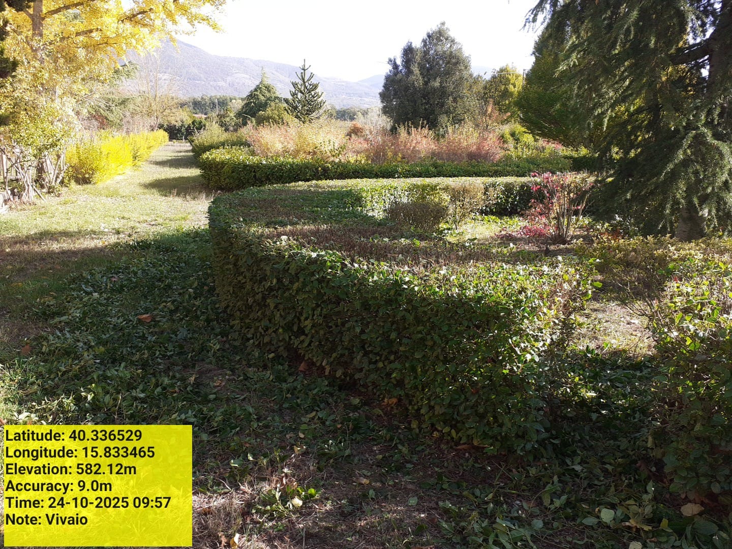 Galleria Fotografica Immagine