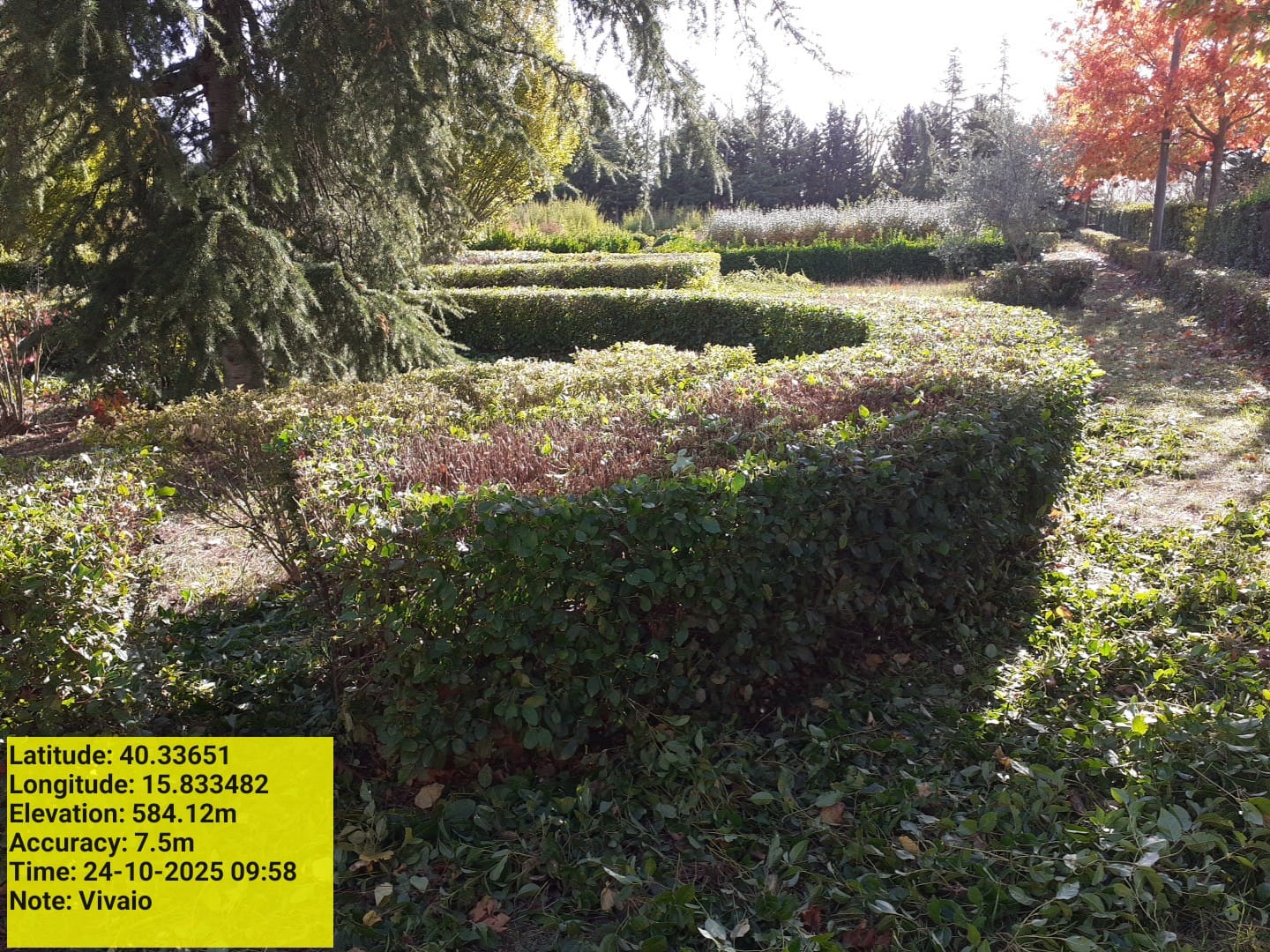 Galleria Fotografica Immagine