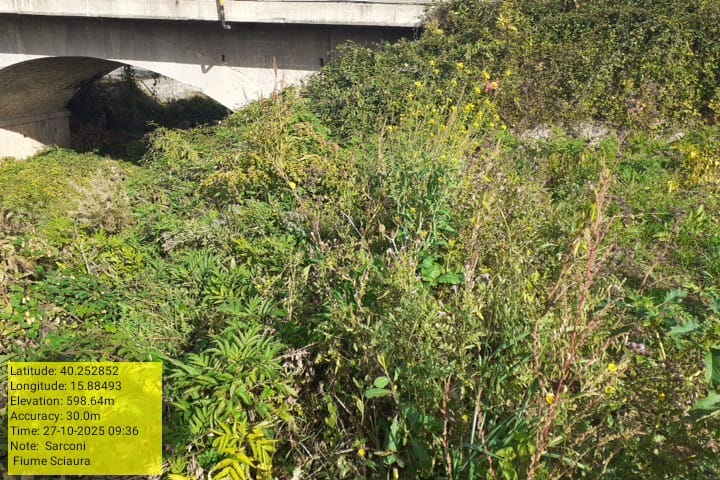 Galleria Fotografica Immagine