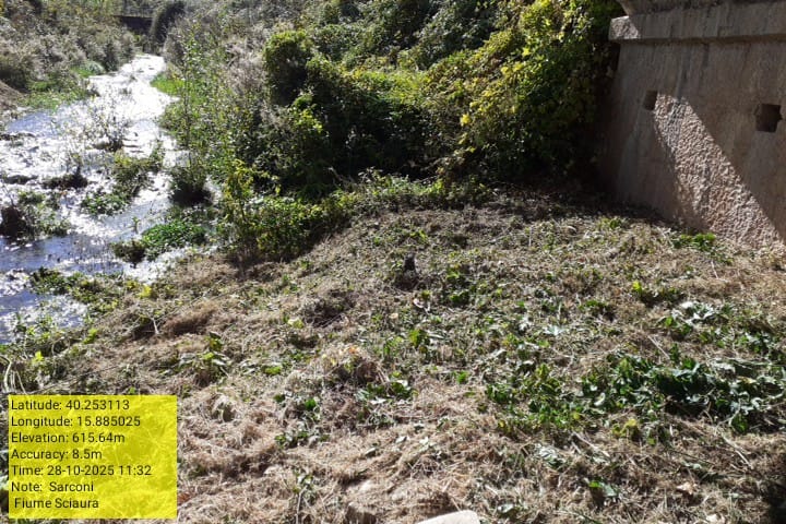 Galleria Fotografica Immagine