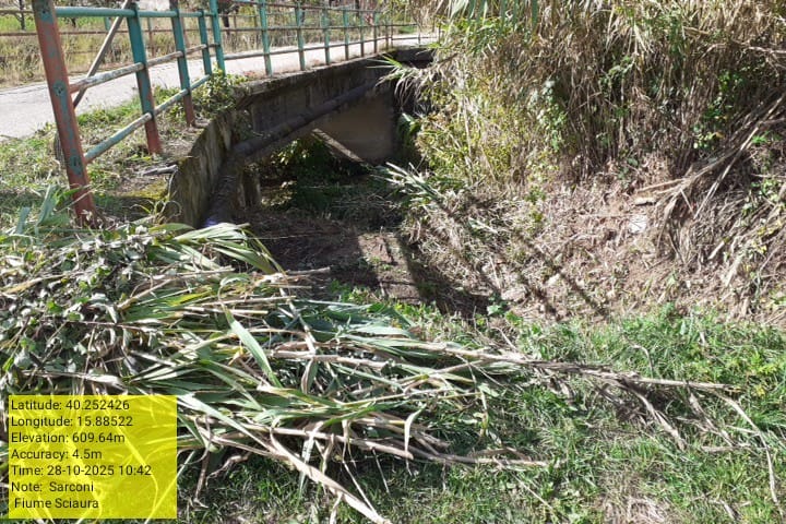 Galleria Fotografica Immagine