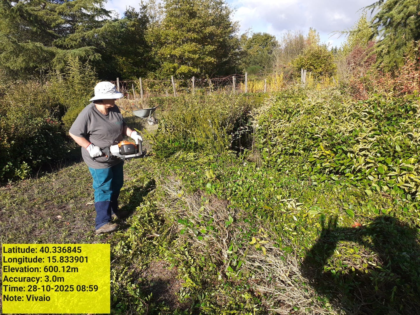 Galleria Fotografica Immagine