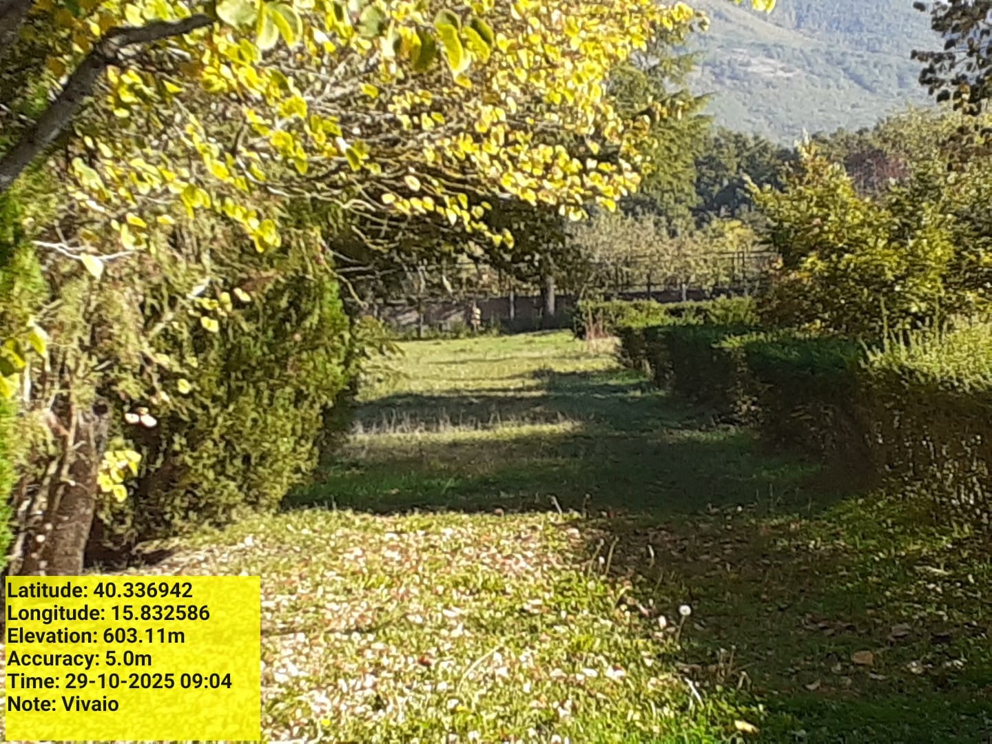 Galleria Fotografica Immagine