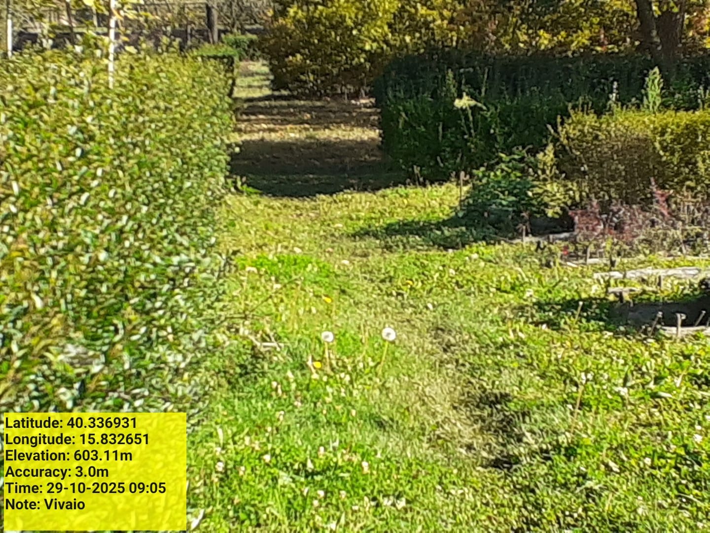 Galleria Fotografica Immagine