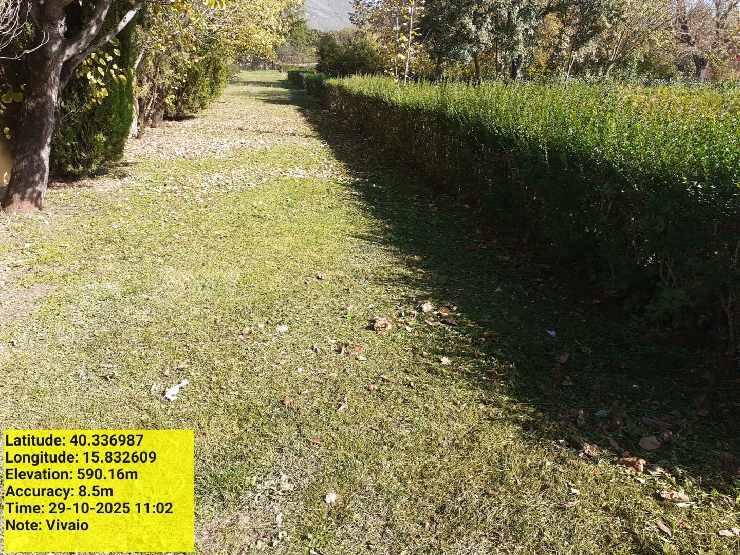 Galleria Fotografica Immagine