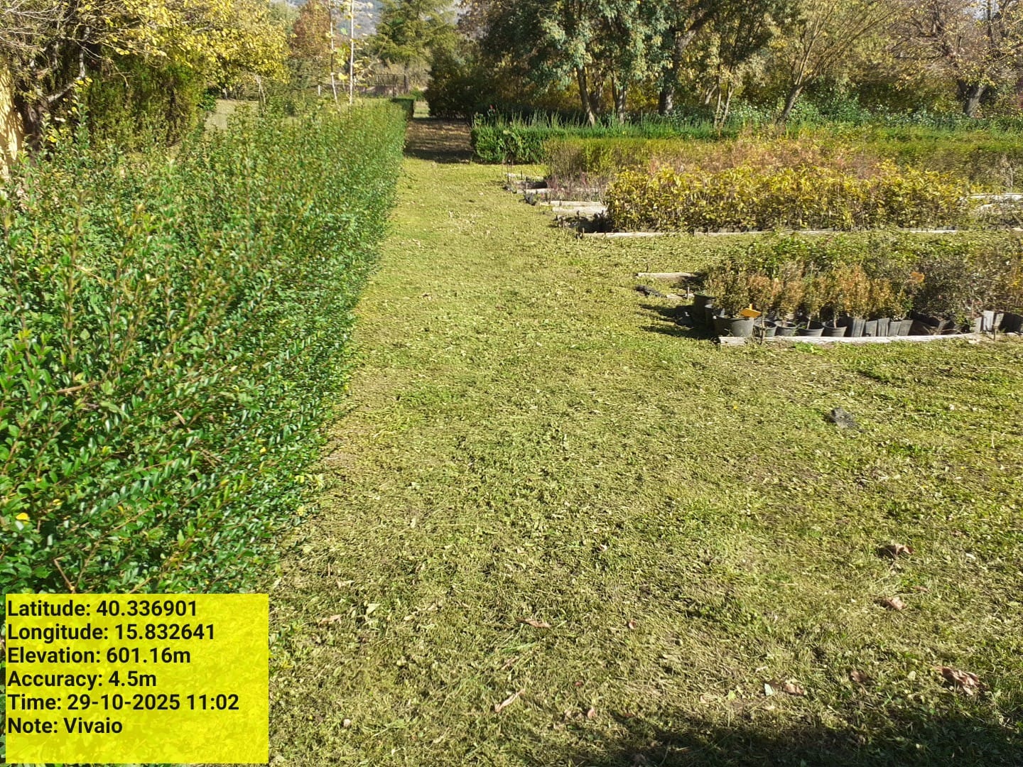 Galleria Fotografica Immagine